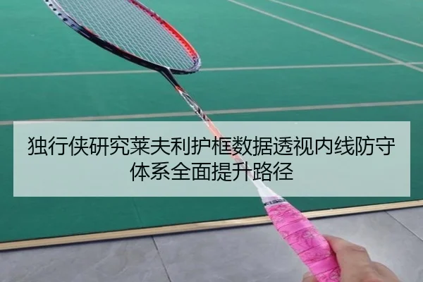 独行侠研究莱夫利护框数据透视内线防守体系全面提升路径